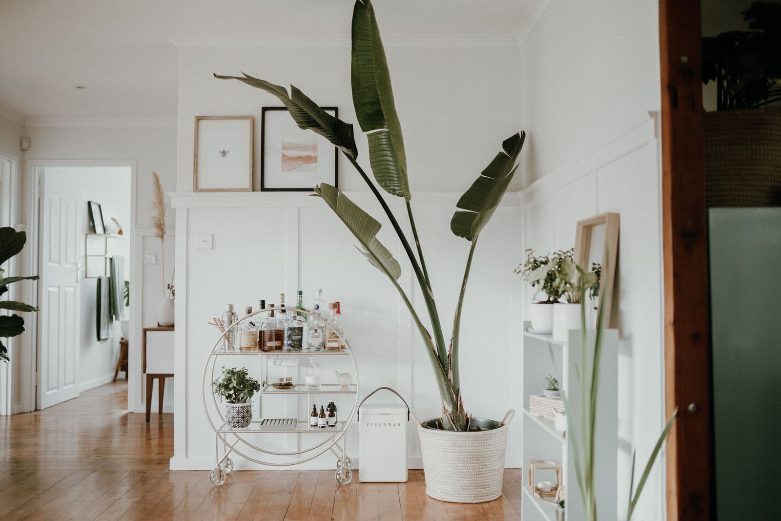 A slim bar cart of bottles against a white wall beside a large plant