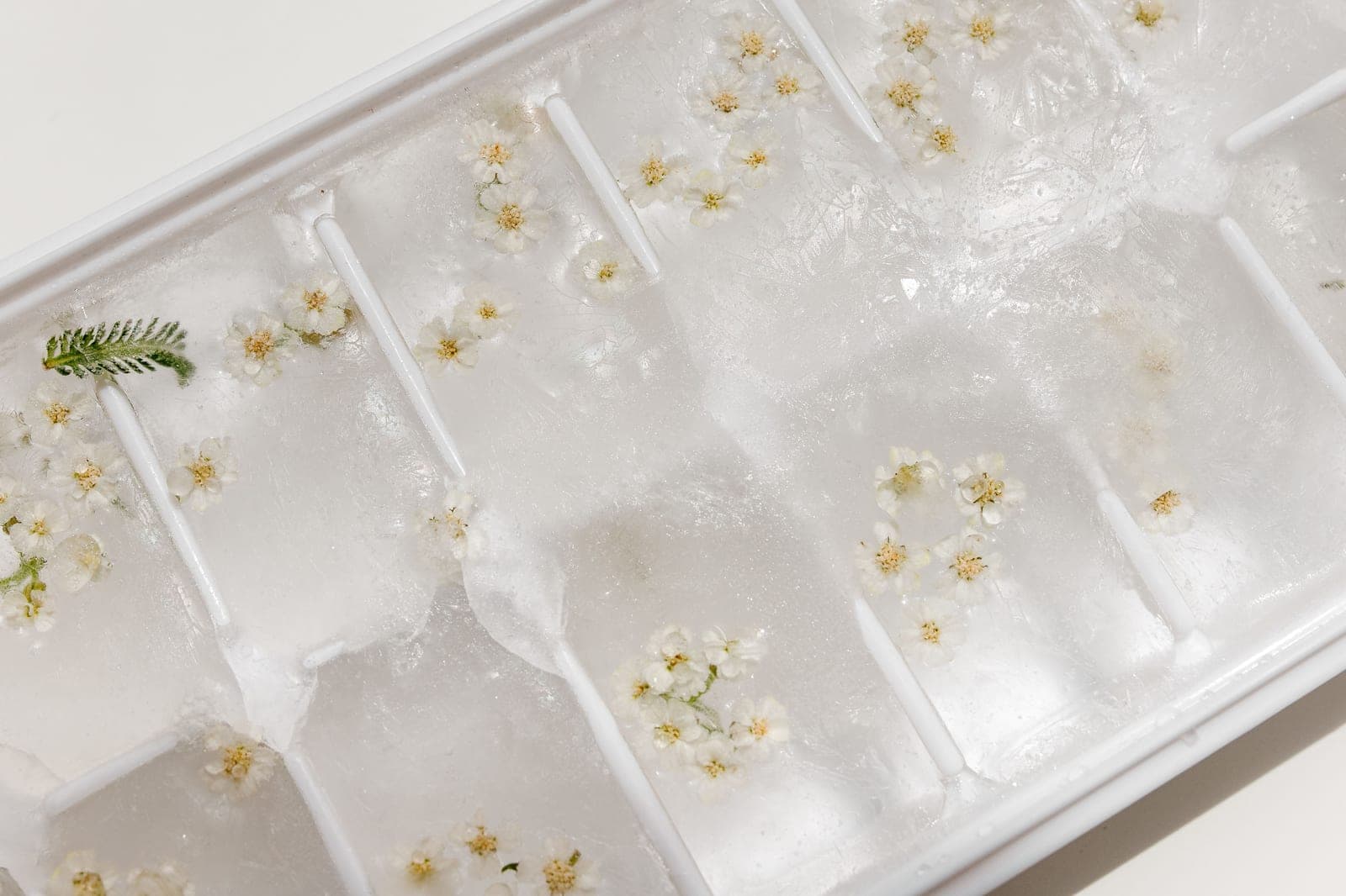 An ice cube tray on a bright counter